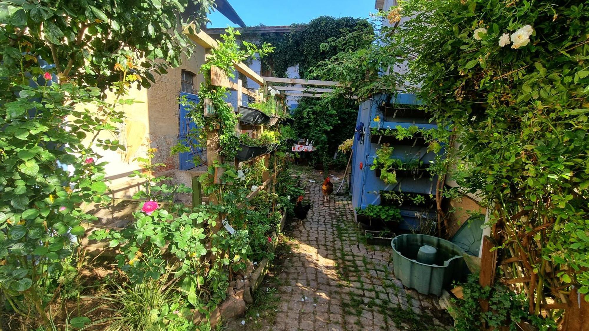 Bauernhof Privatzimmer Hortus Sandrine Gemeinschaftsbad Free Wifi Hausbreitenbach ภายนอก รูปภาพ