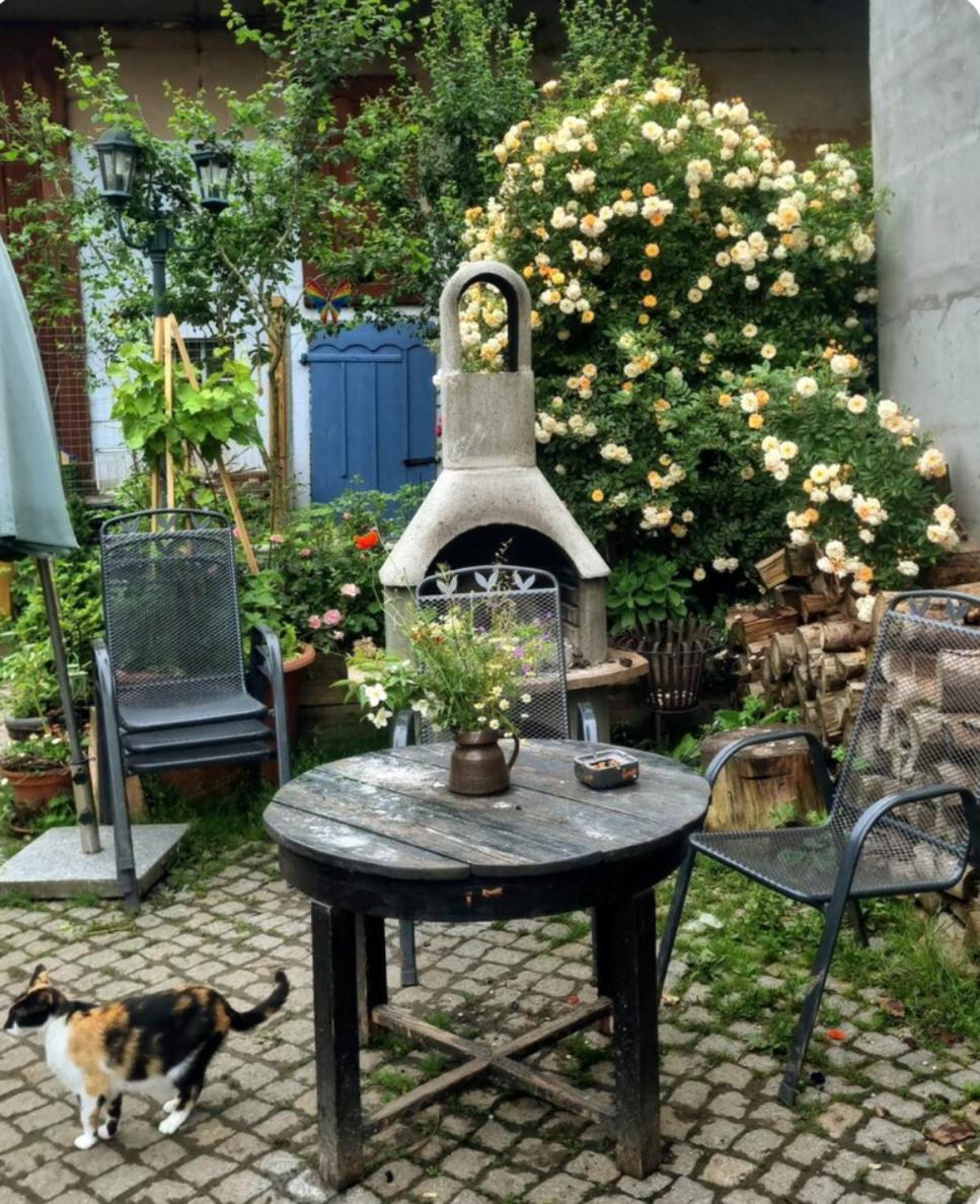 Bauernhof Privatzimmer Hortus Sandrine Gemeinschaftsbad Free Wifi Hausbreitenbach ภายนอก รูปภาพ