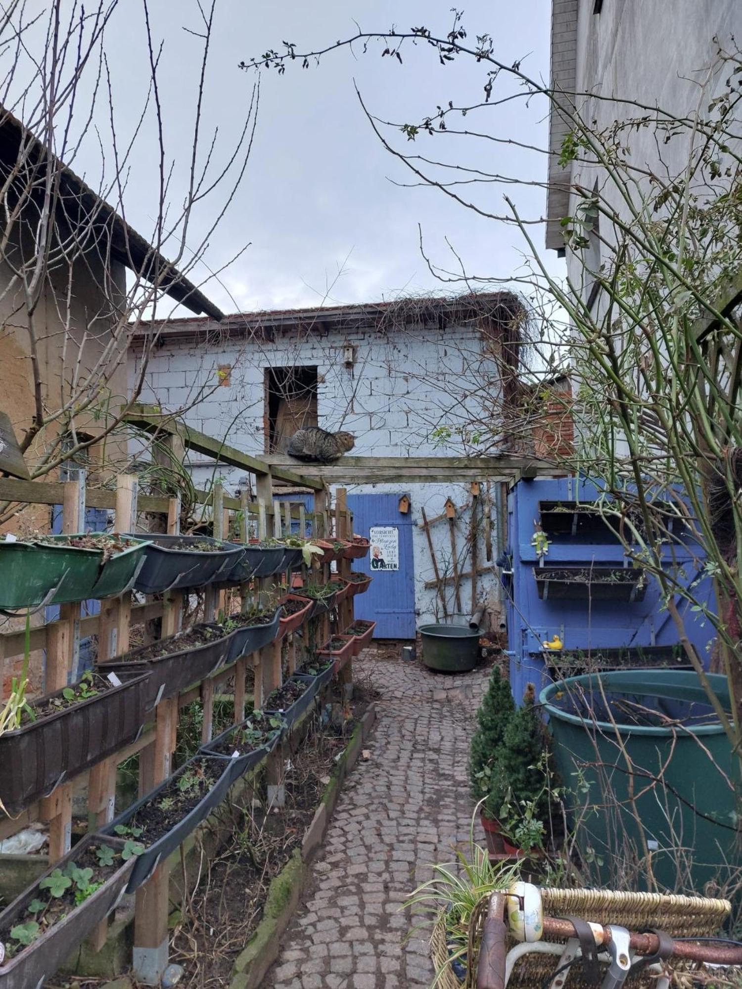 Bauernhof Privatzimmer Hortus Sandrine Gemeinschaftsbad Free Wifi Hausbreitenbach ภายนอก รูปภาพ